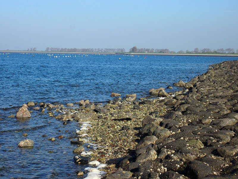 2013-05-05 09-10-22 Mary.JPG